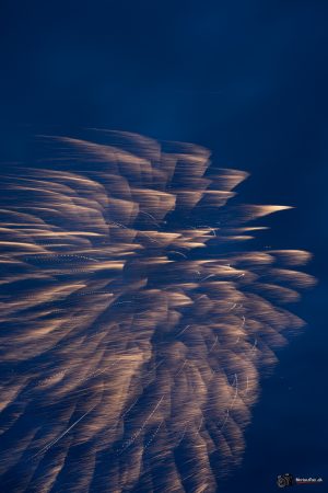 240726 22 27 48 2W9A2601